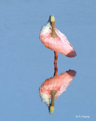 Reflective Spoon