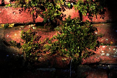 08022008 078.JPG