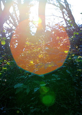 08022008 046.JPG