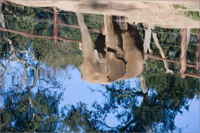 Reflections of a Winter Day