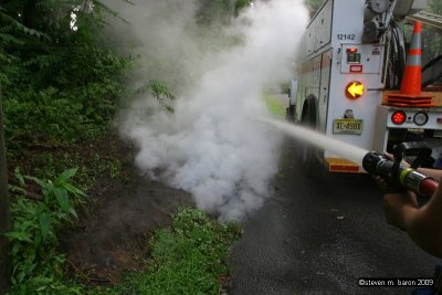 IMG_5153.jpg