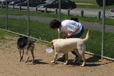 IMG_2314ae.jpg