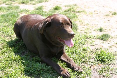 IMG_2327ar.jpg (Sasha)