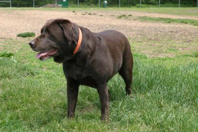IMG_2540aa.jpg  (Sasha)