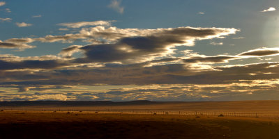 Pampa magallanica, Chile