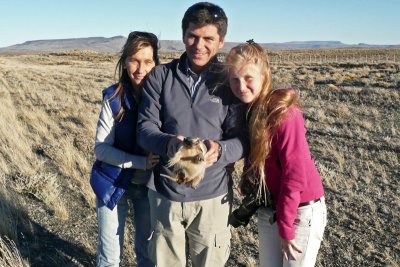 Un armadilla patagonico