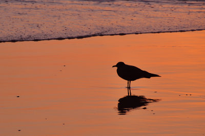 Iquique, Chile