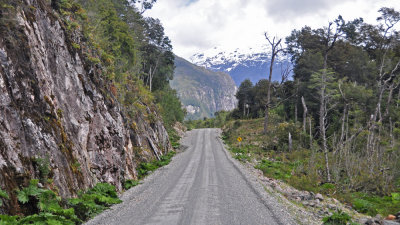 Camino a Caleta Tortel