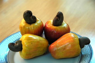 Cashew Nut Fruit