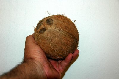 Coconut