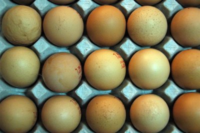 Eggs' Tray