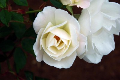 g1/62/178662/3/111403436.AaBJEdOt.jpg