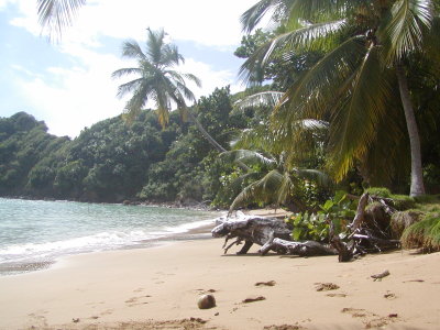 Blue Waters Beach