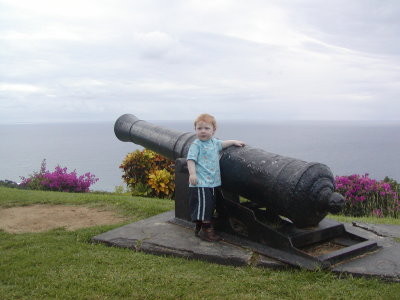 Pirate of the Caribbean