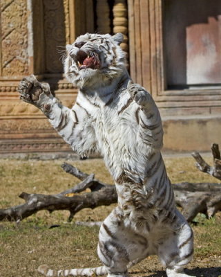 Metro Zoo_045.jpg