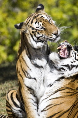Metro Zoo_102.jpg