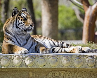 Metro Zoo_014.jpg