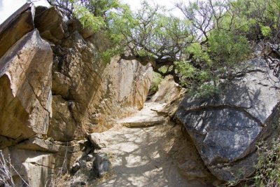 Indian Canyon_057.jpg