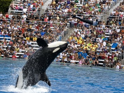 Sea World_023.jpg