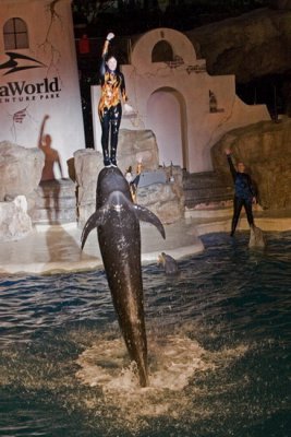 Sea World_201.jpg