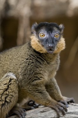 Madagascar_04.jpg