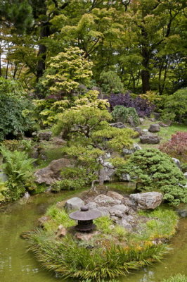 Japanese Tea Garden_01.jpg