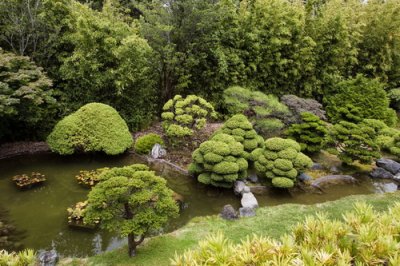 Japanese Tea Garden