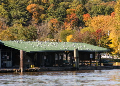 Fall trip down the Hudson River @ Hudson NY
