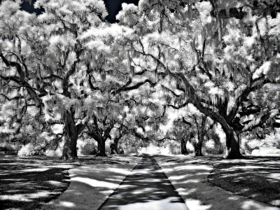 black_and_white_infrared