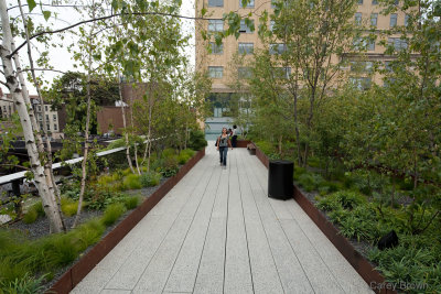 High Line Park