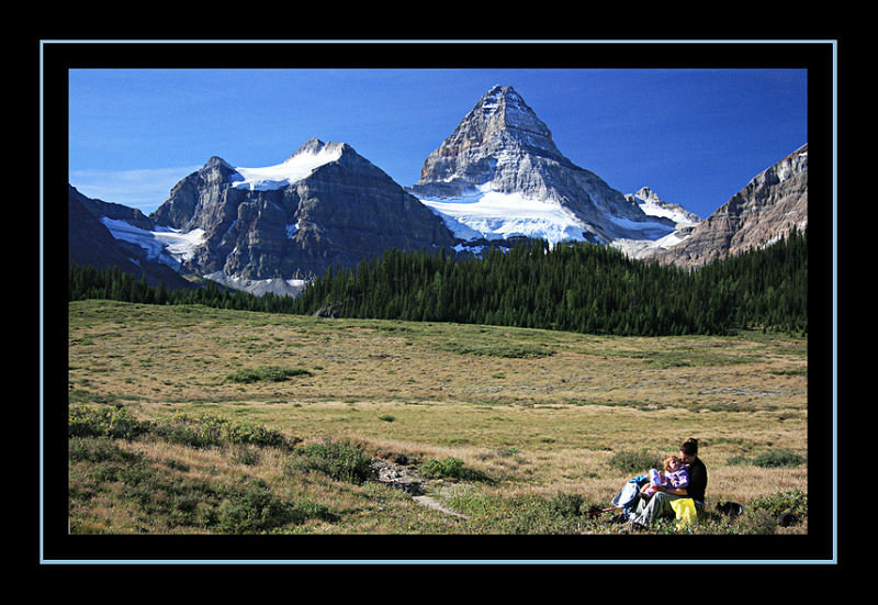 Alpine Meadow on Way to Windy Ridge