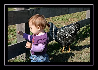 Watch out for that attack chicken!
