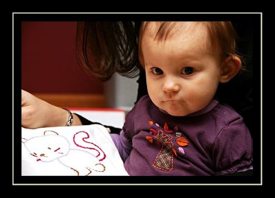 g1/62/235762/3/106316053.MsL8SPka.jpg