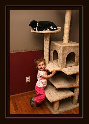 Threatening to climb the cat tree herself