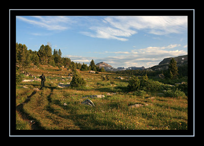 Early Morning Light on the Trail