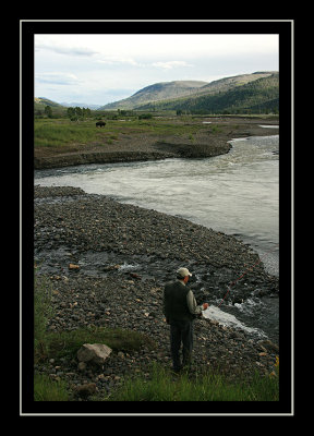 Soda Butte Creek - Lamar Valley, Yellowstone