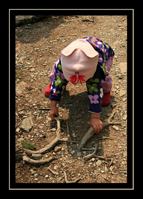 Norah Attempting to Pick Up a Tree Root