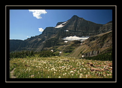 Going-to-the-Sun Mountain & Bear Grass