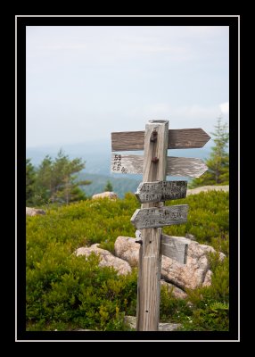 Trail junction between Bald and Parkman