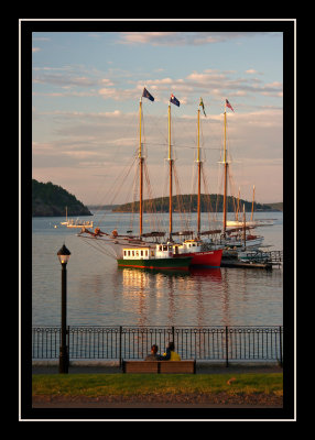 Bar Harbor boats