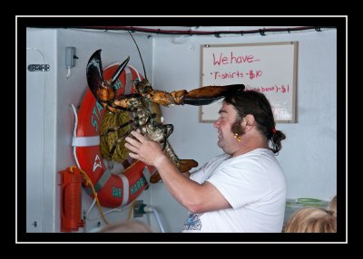 Monster lobster