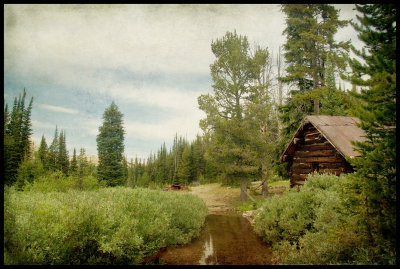 Abandoned cabin from the mining days