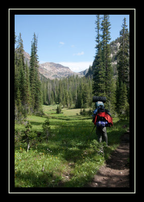 Hiking through the meadows