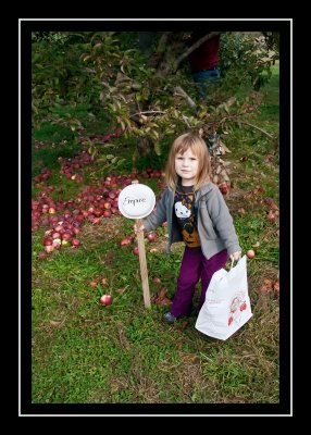 Apple picking at DuBois farm