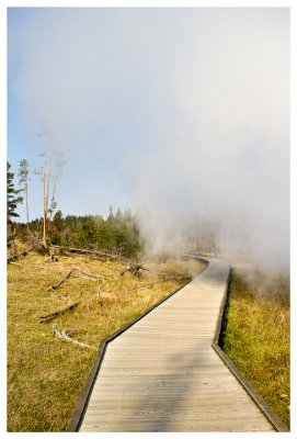 Steamy boardwalk