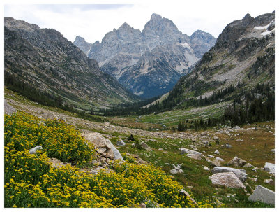 Cascade Canyon-Paintbrush Canyon hike