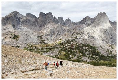 Hikers and llamas ascending Jackass Pass