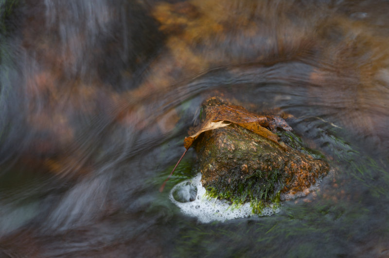 sparrows mill 2008 11.jpg