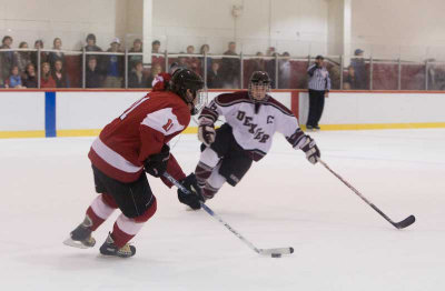 stg-hockey08-dexter-32.jpg