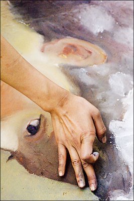 55_47200_D2X2017.jpg